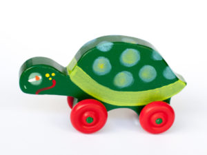 Green Turtle Car Image